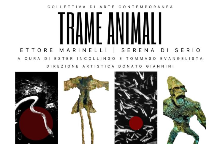 trame animali